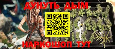 сатива Лесосибирск