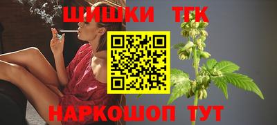 сатива Лесосибирск