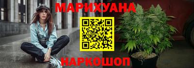 сатива Лесосибирск