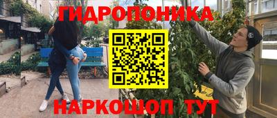 сатива Лесосибирск