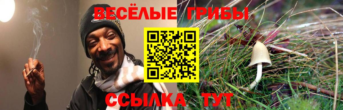 Камень-на-Оби  дарнет шоп  Вход с VPN  Псилоцибиновые грибы Magic Shrooms 